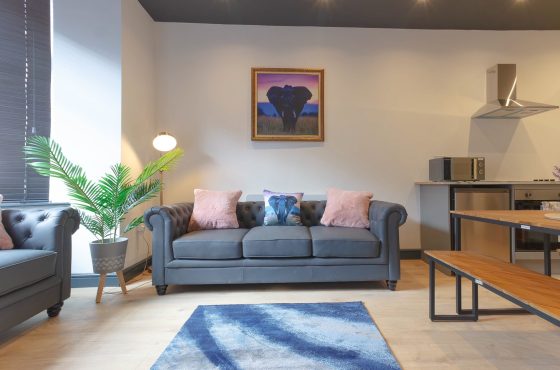 Luxurious One-Bedroom Apartment